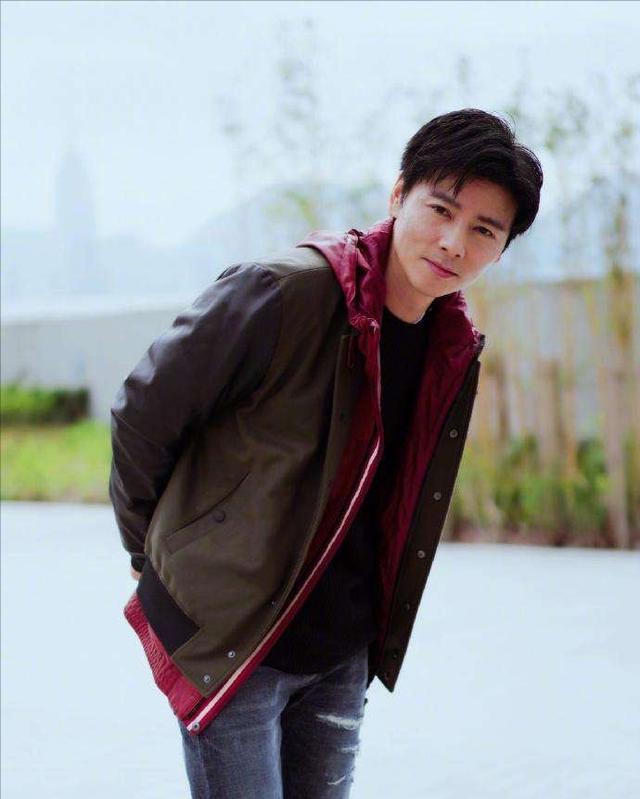 说出15个川渝地区的男明星,巴蜀美男子