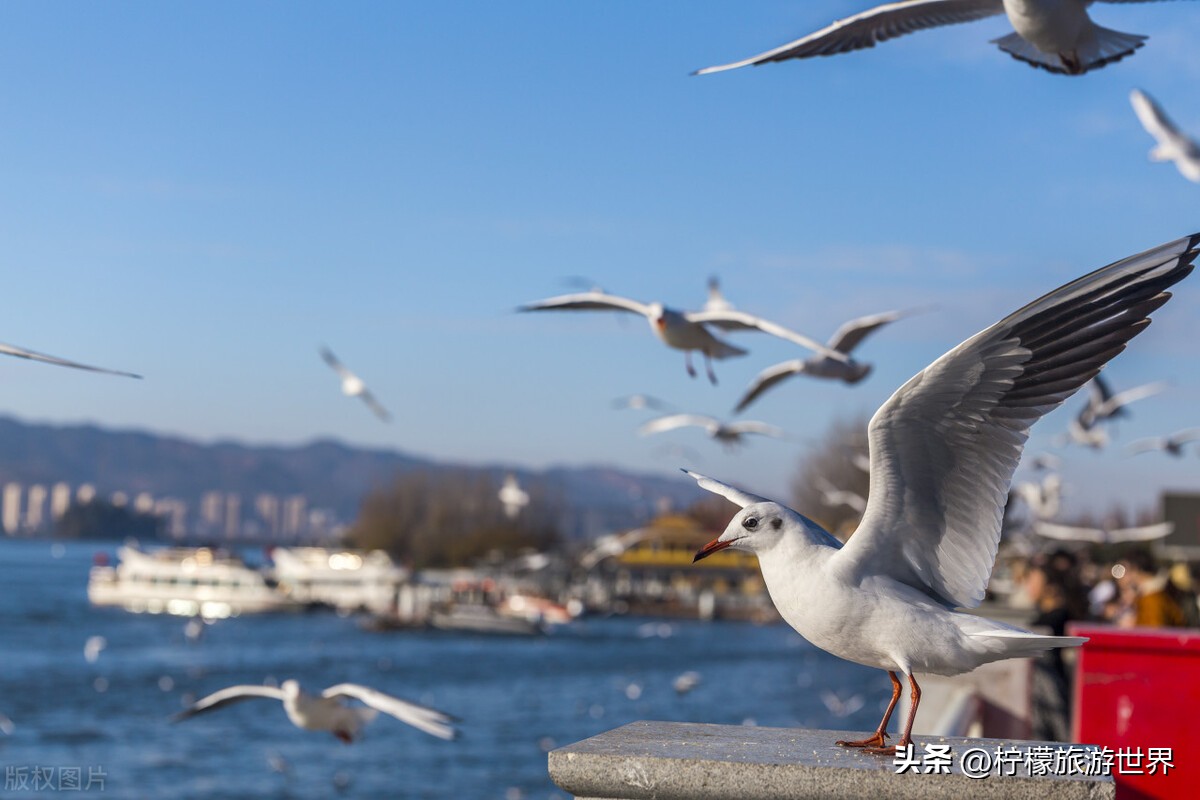 来云南昆明旅游攻略必去景点,来云南昆明必打卡的10个景点