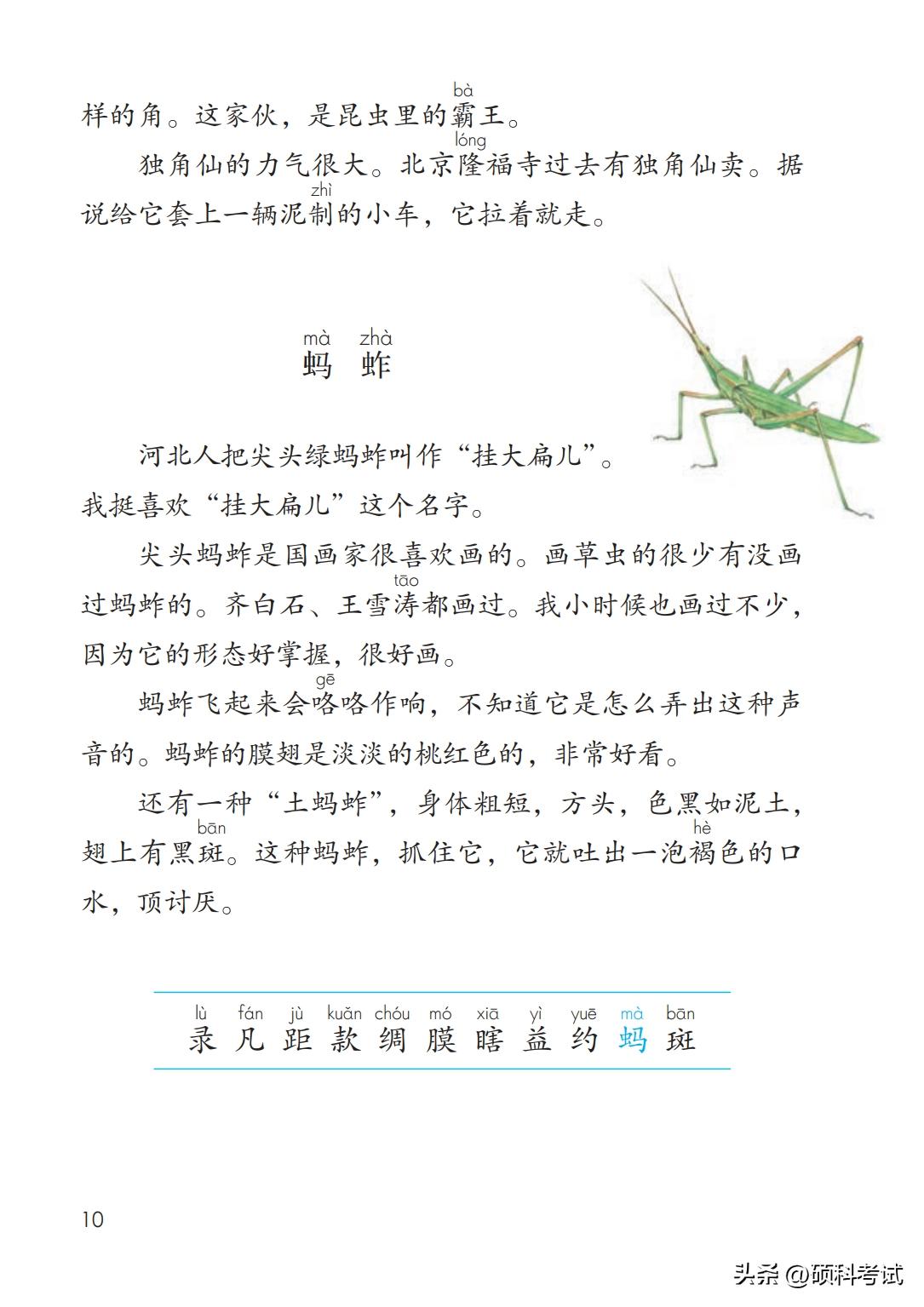 2024春部编三年级下册语文电子书,2020部编版语文三年级上电子课本