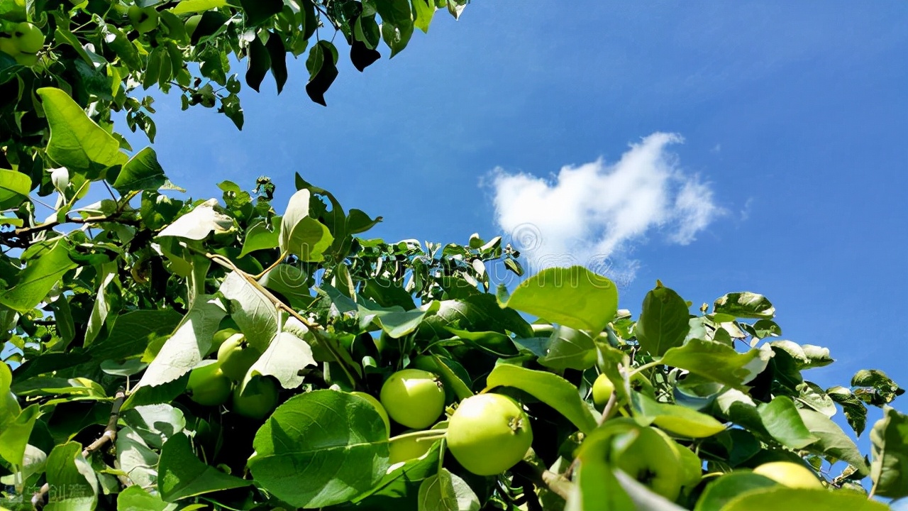 清都的原创诗词，4年作品合集，用文字记录生活