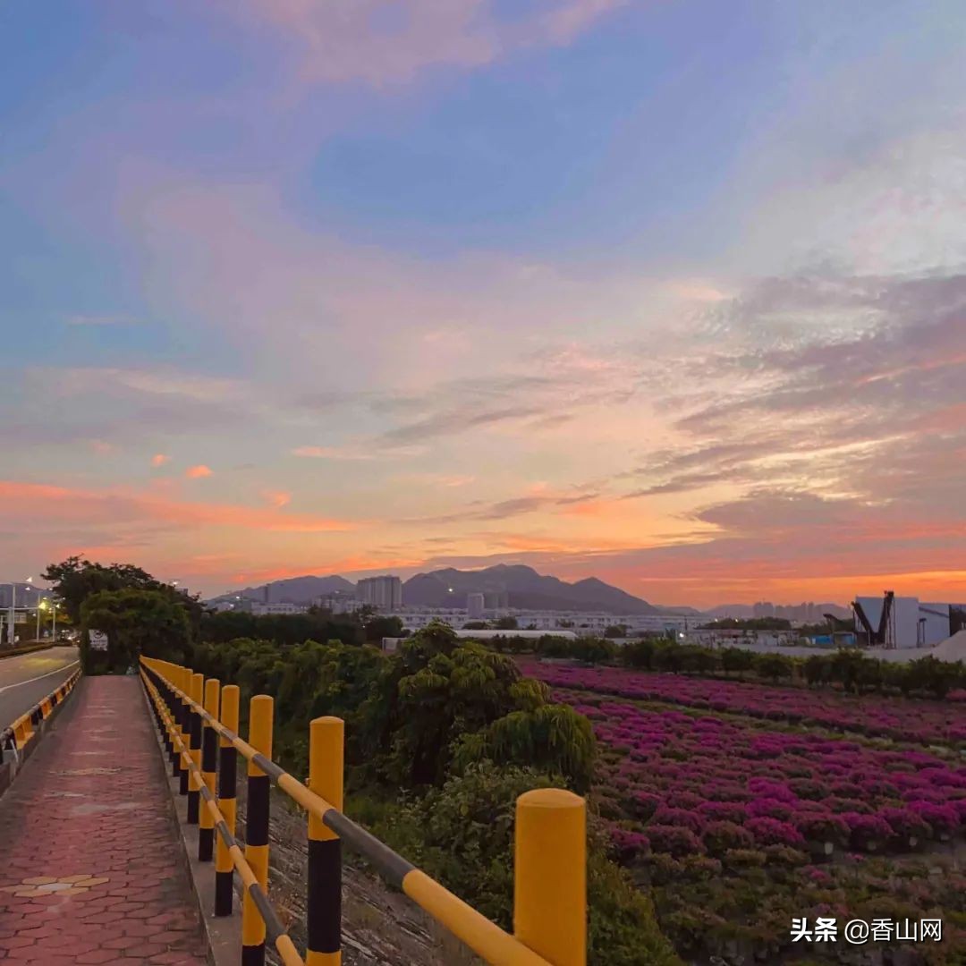珠海值得去的海岛,珠海最适合游玩的海岛