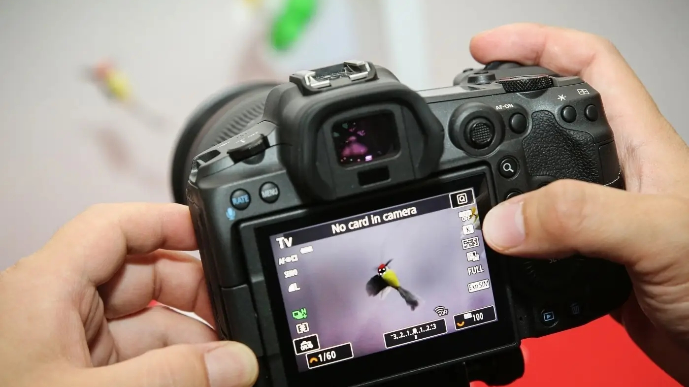 单反和微单的拍摄效果,相机基础知识微单单反区别