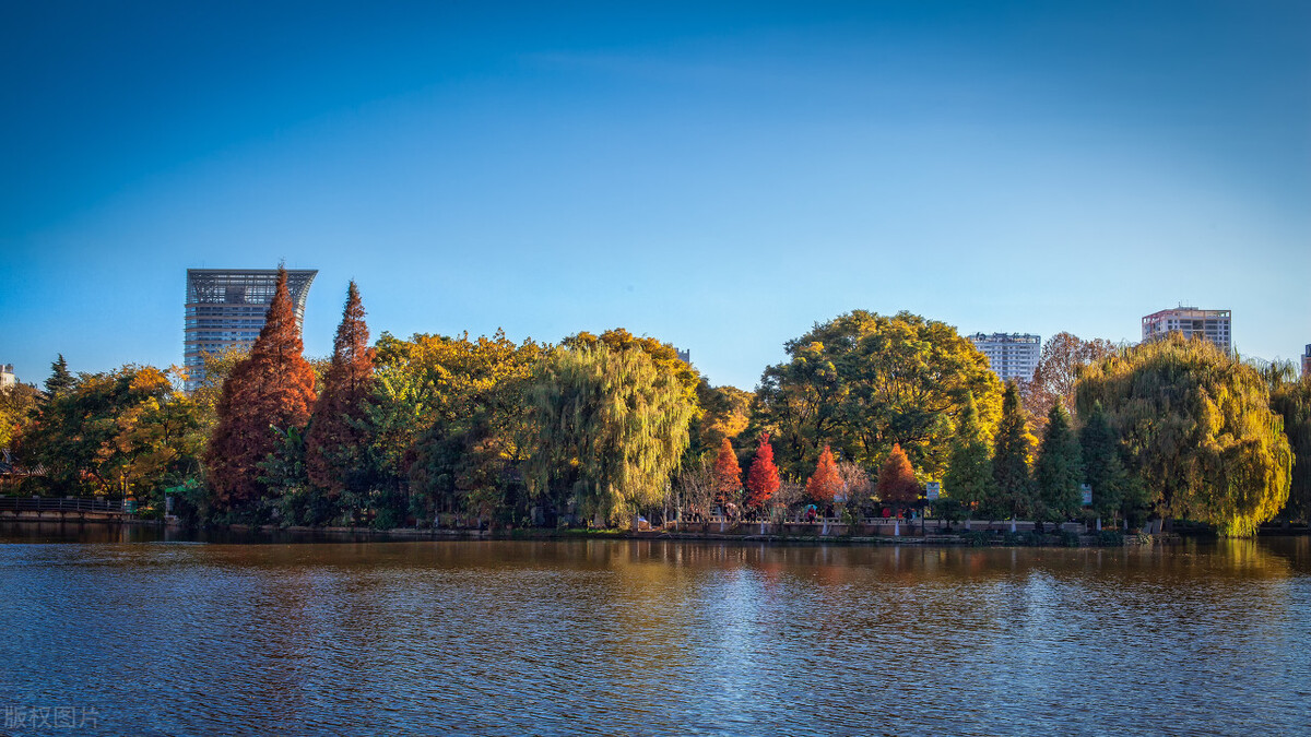 昆明五个主城区哪个经济发展最好,昆明市四个主城区实力对比