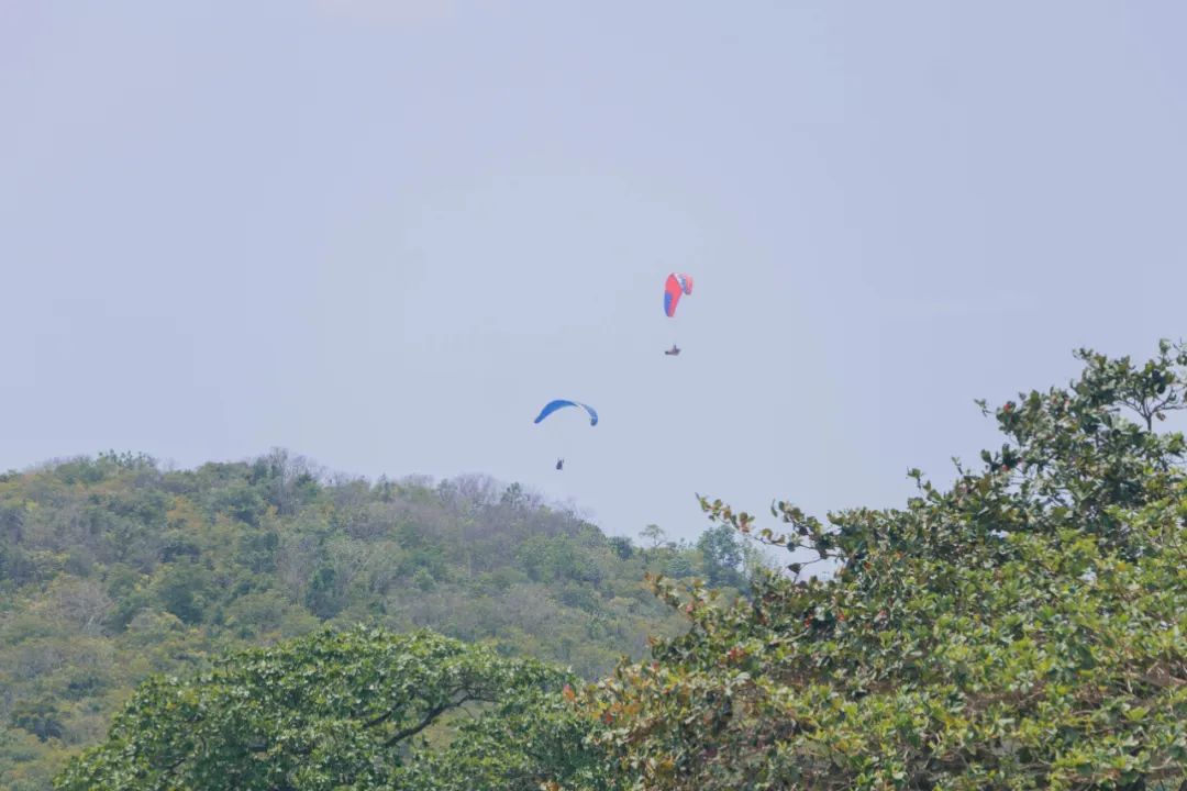 大数据推给想去泰国的朋友，万字长文玩转曼谷芭提雅