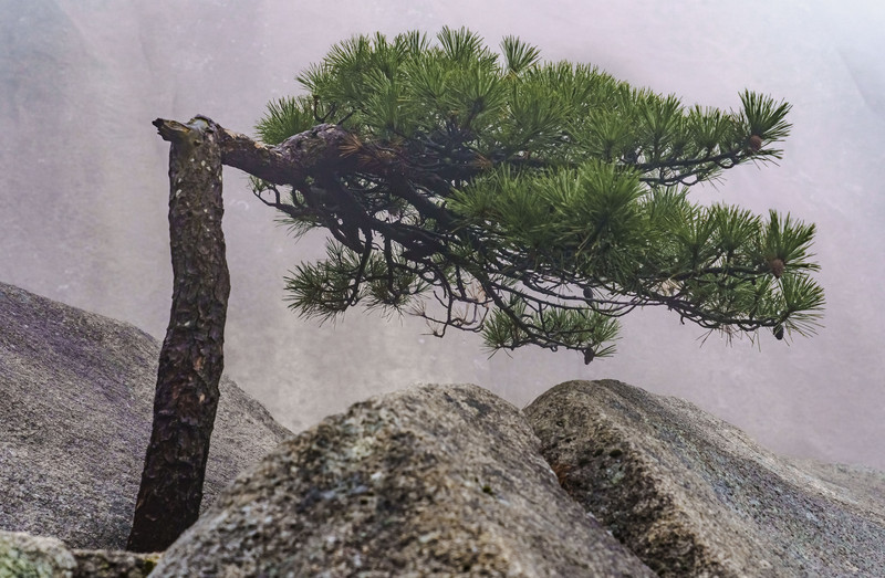 打卡安庆古城,安庆旅游和美食