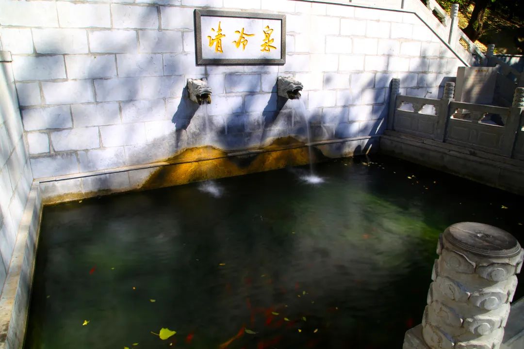 济南趵突泉真的很美,济南趵突泉必看的几个泉水