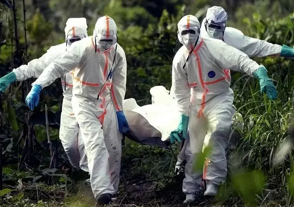 致死率100%！朊病毒烹煮杀不死，无药可救，感染后究竟有多恐怖？