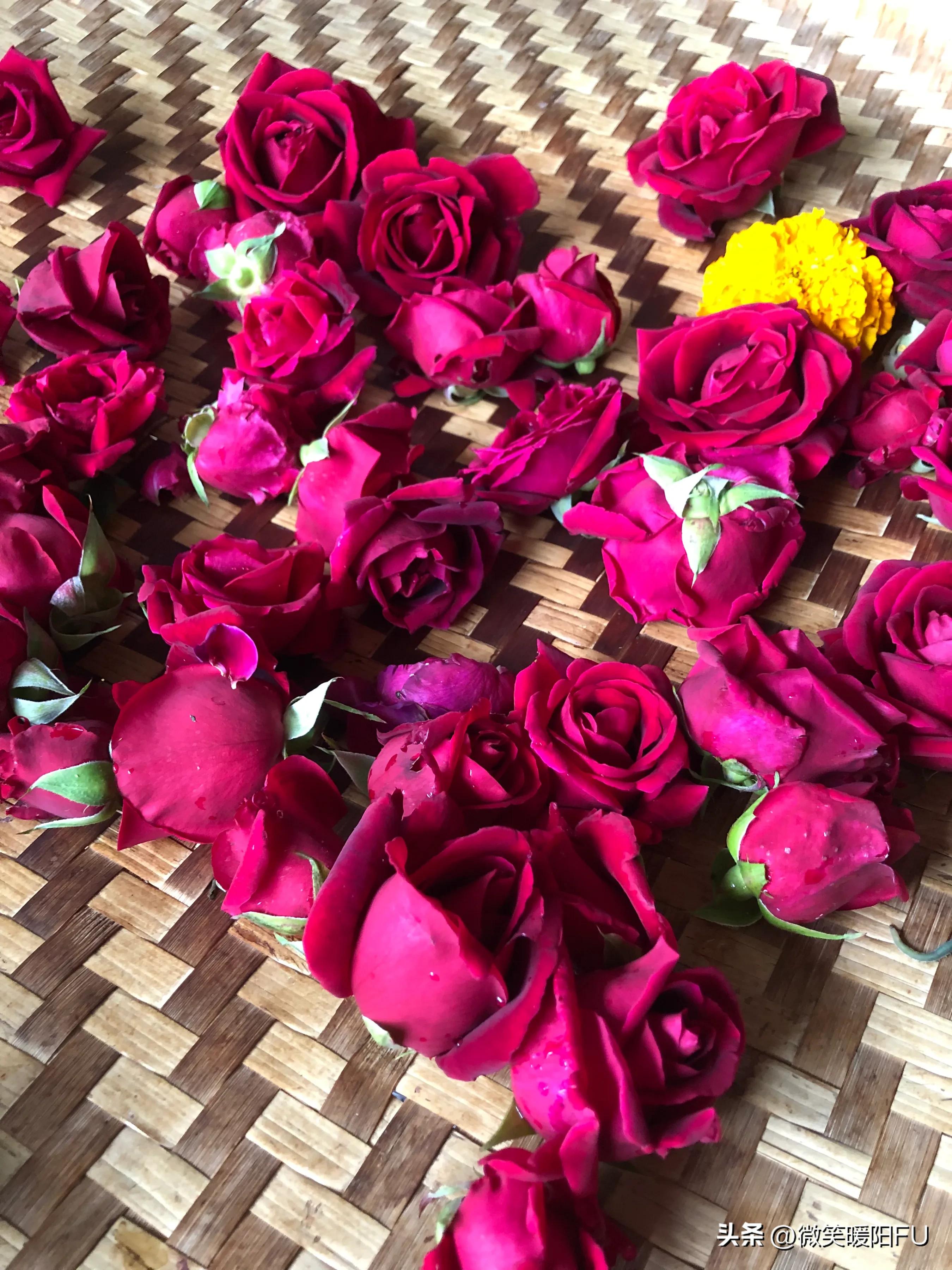 品尝墨红玫瑰,娇艳动人免费阅读