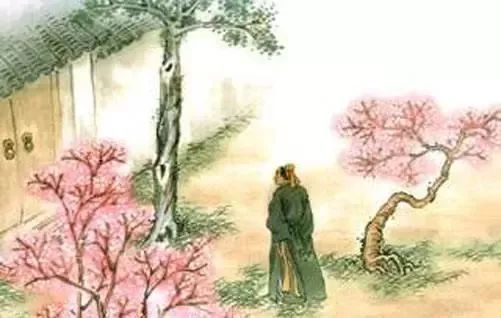 哪种水果是我国的本土水果,以下哪种水果是我国的本土水果