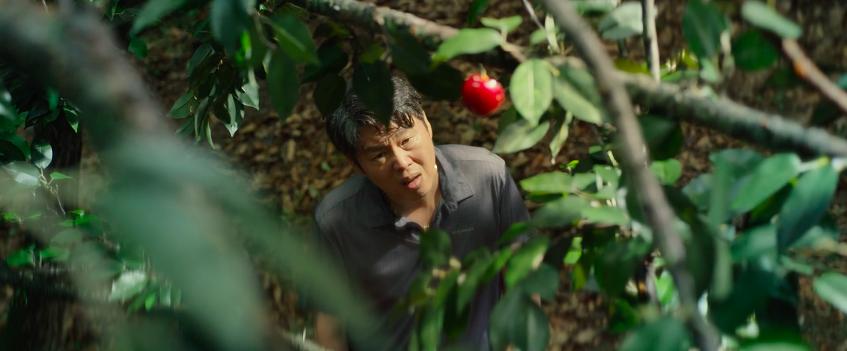 韩国女演员千玗嬉,韩国女明星千玗嬉