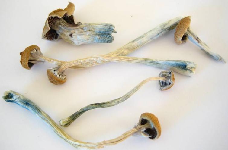 这些东西看起来“人畜无害”，竟然都是*品毒**！