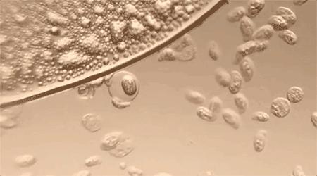 一不小心知道了一个惊天的秘密,无意间的天大秘密