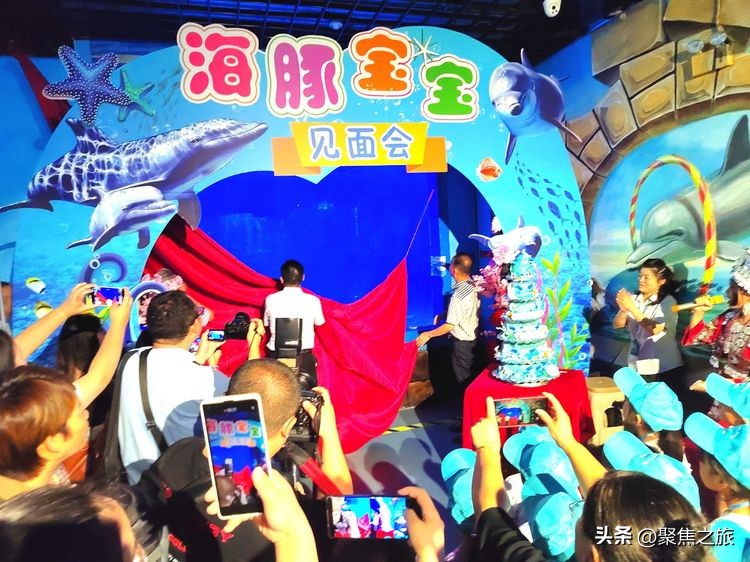 贵州海洋极地海洋馆,极地海洋世界小宝宝