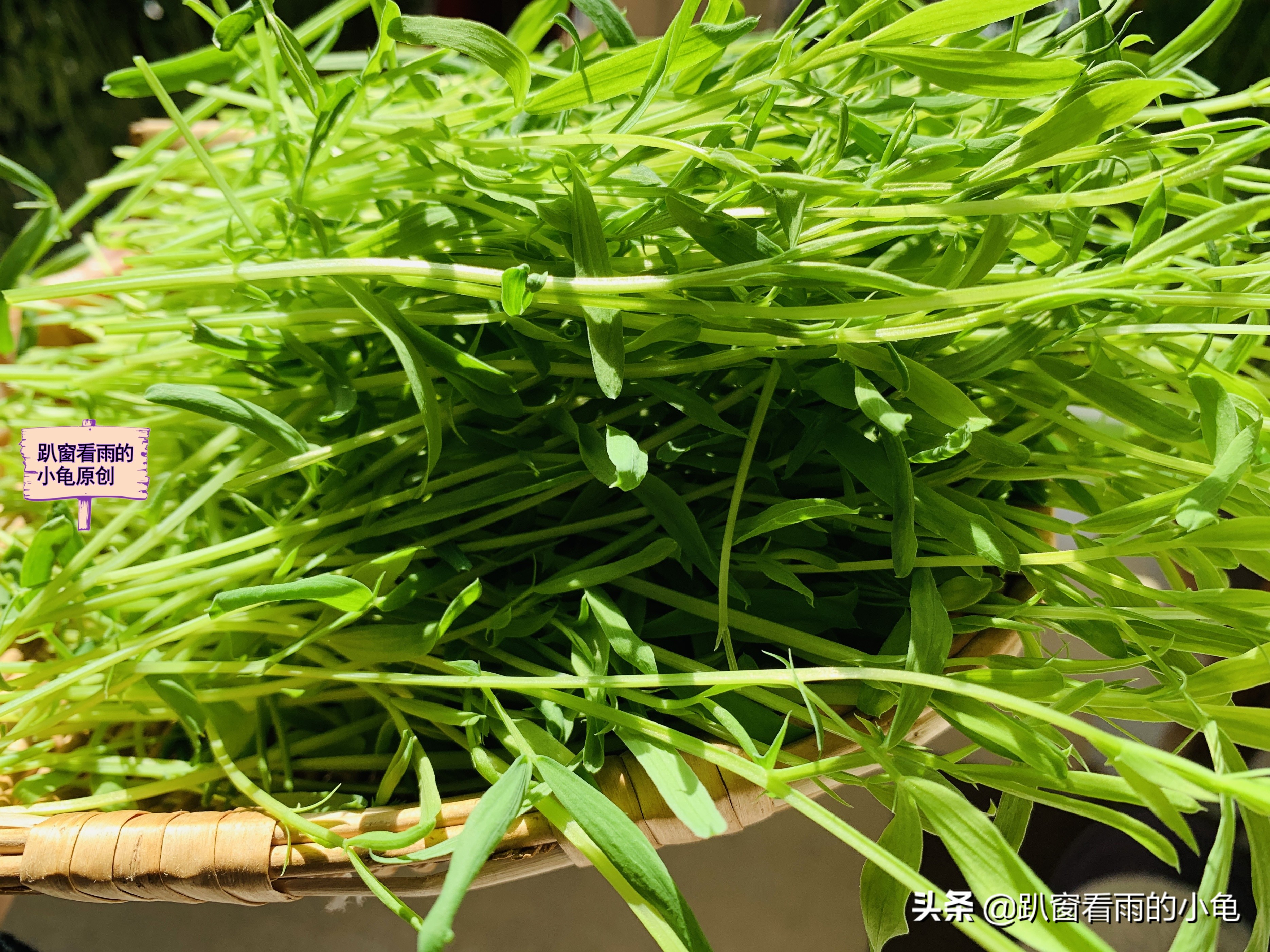 家有余粮，遇事不慌！收好10种生活必要的物资，这3件事也做起来