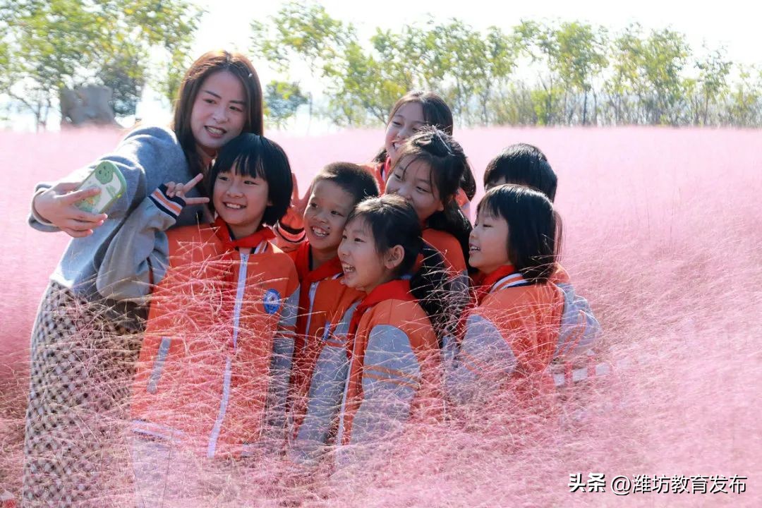 新闻周播报完整版,周播报抖音