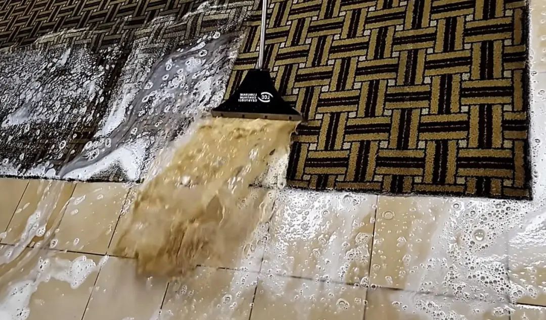 解压赶海撬鲍鱼,解压视频赶海挖东西