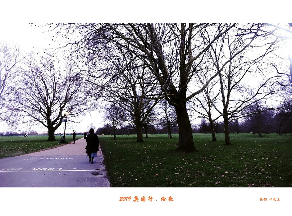 伦敦海德公园英国最大的皇家公园,浮光掠影免费阅读全文