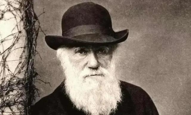 世界十大文化名人偶像,世界十大文化名人及作品