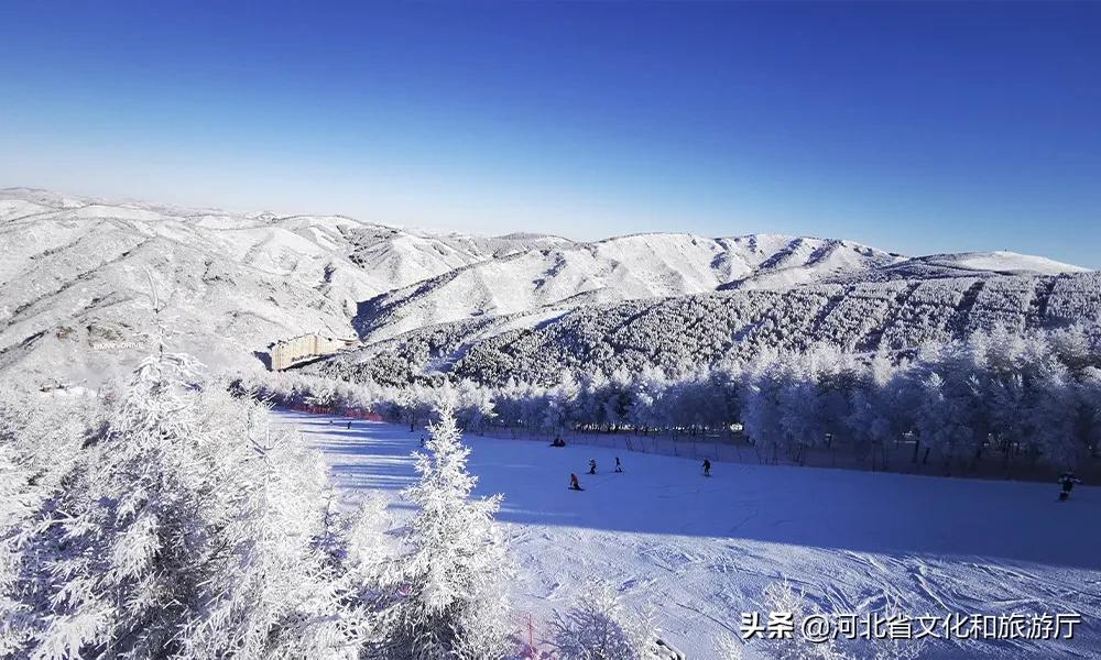 万龙滑雪场粉雪,万龙滑雪场粉雪全能板
