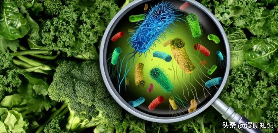 马传染病的传播,马传染性子宫炎