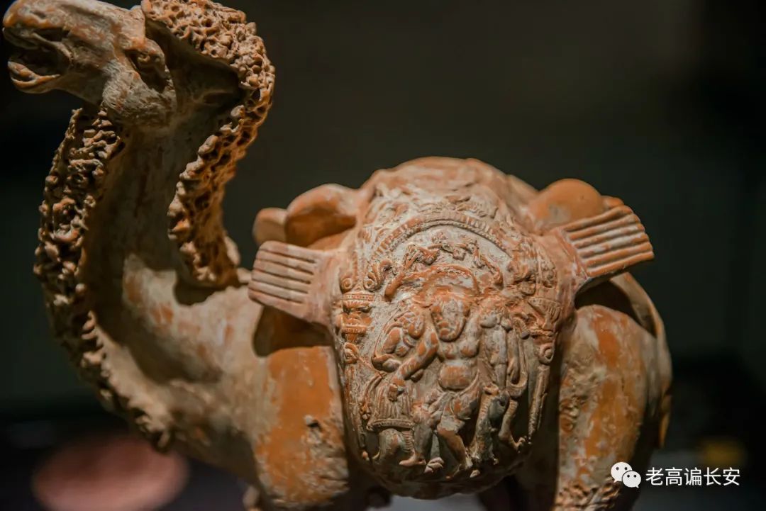 陕西考古博物馆玉器图片,陕西考古博物馆门票预约