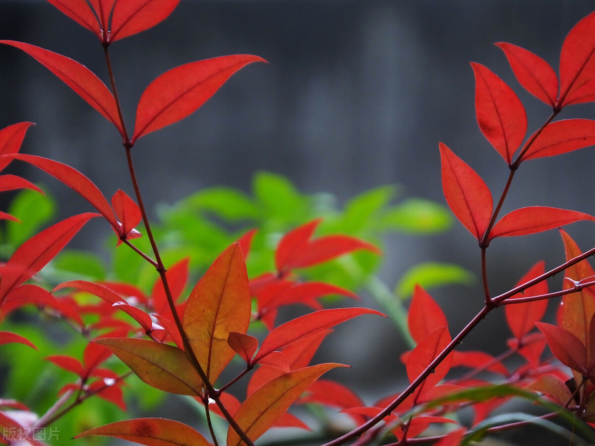 清都的原创诗词，4年作品合集，用文字记录生活