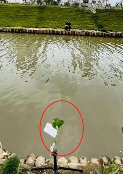 小伙模仿电影练成摘叶飞花,东方不败的飞花神功