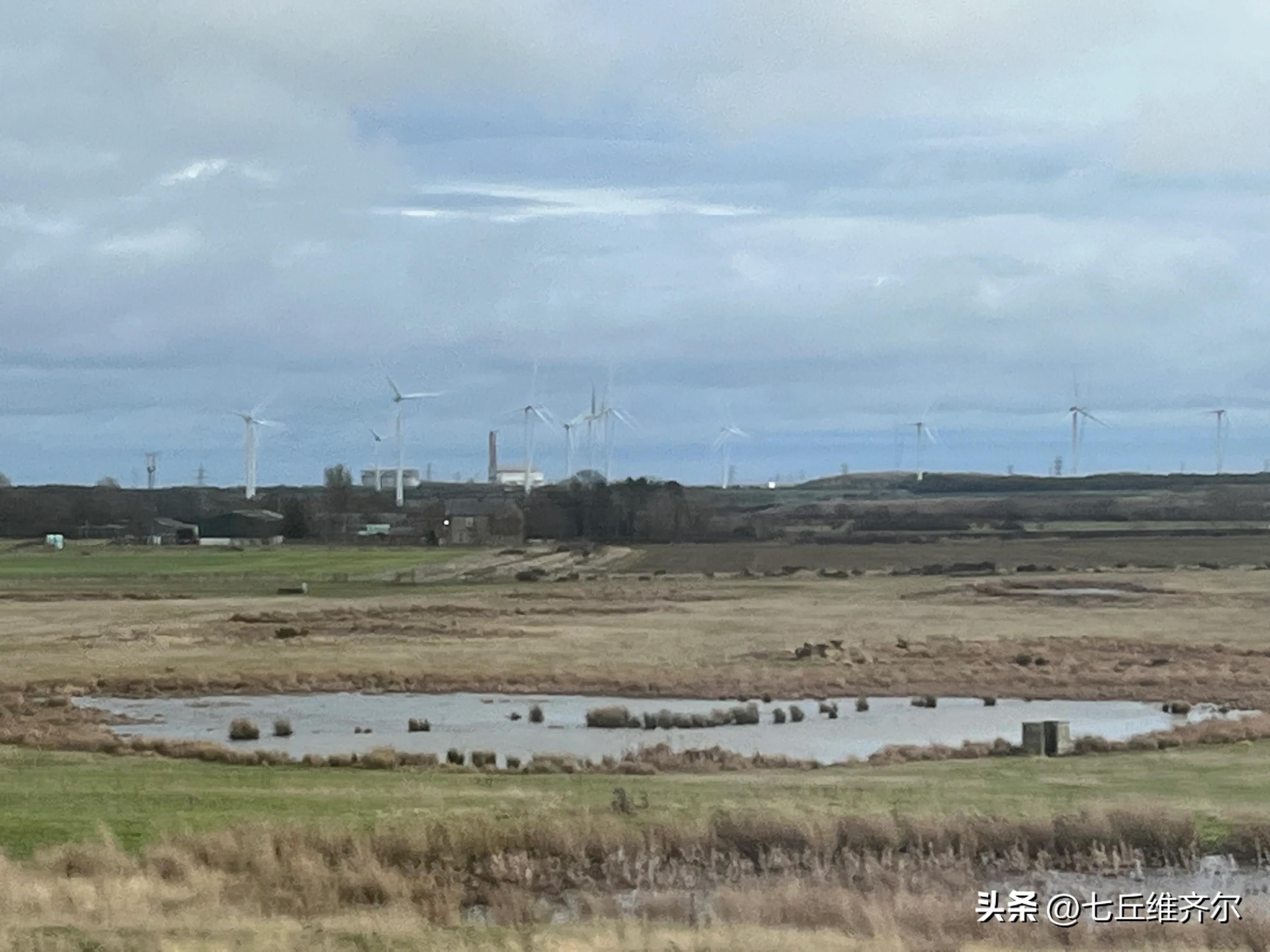 牛羊满圈的上联下联,水肥草美牛羊壮上联