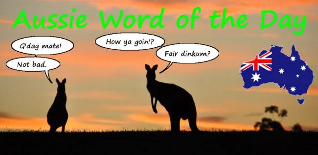 300句地道的澳洲俚语,澳式英语口音和用词