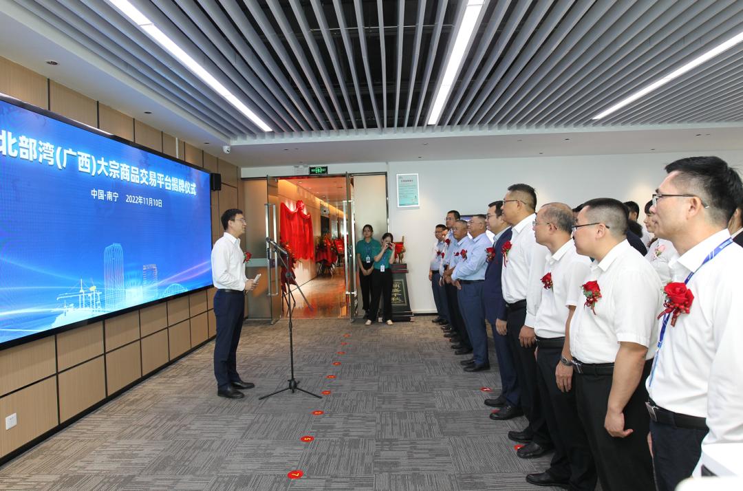 广西钦州市钦州港最新项目,钦州港片区最新项目