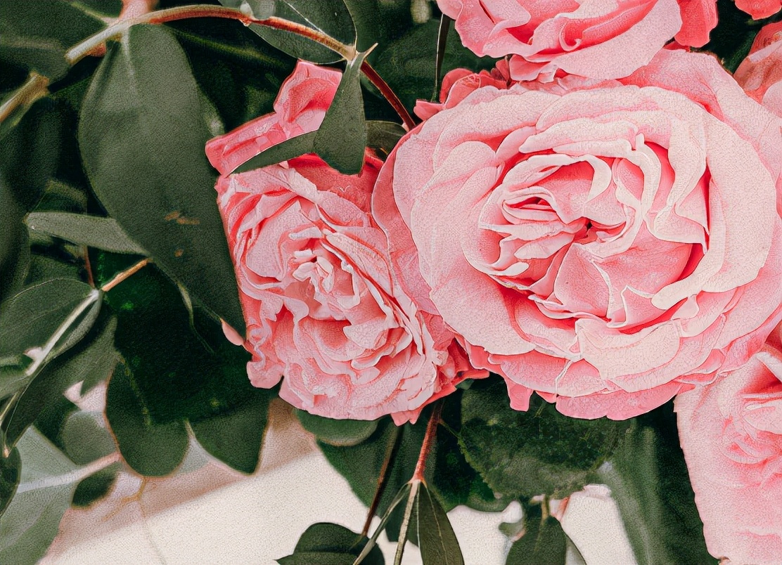 女朋友异性很多怎么办,女友对异性很好我吃醋该告诉她吗