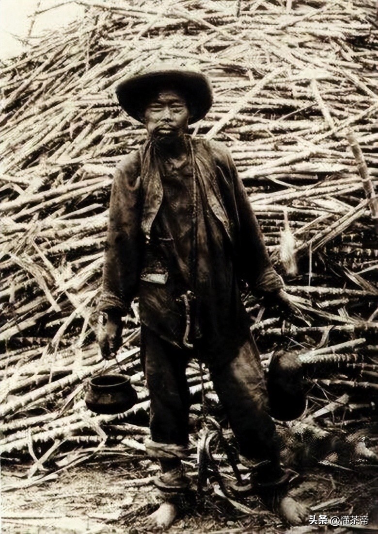 六堡茶搭配什么祛湿化浊,六堡茶加什么祛湿效果好