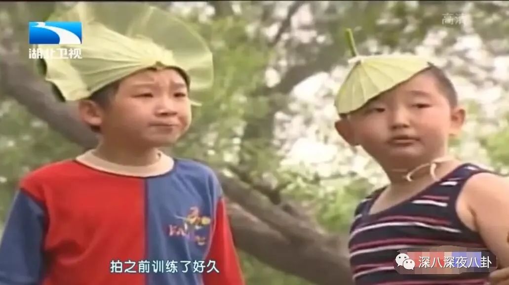 王子腾是几线演员,王子腾下一部戏