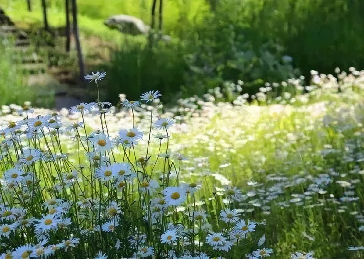 骑行打卡景点,湿地骑行观风景