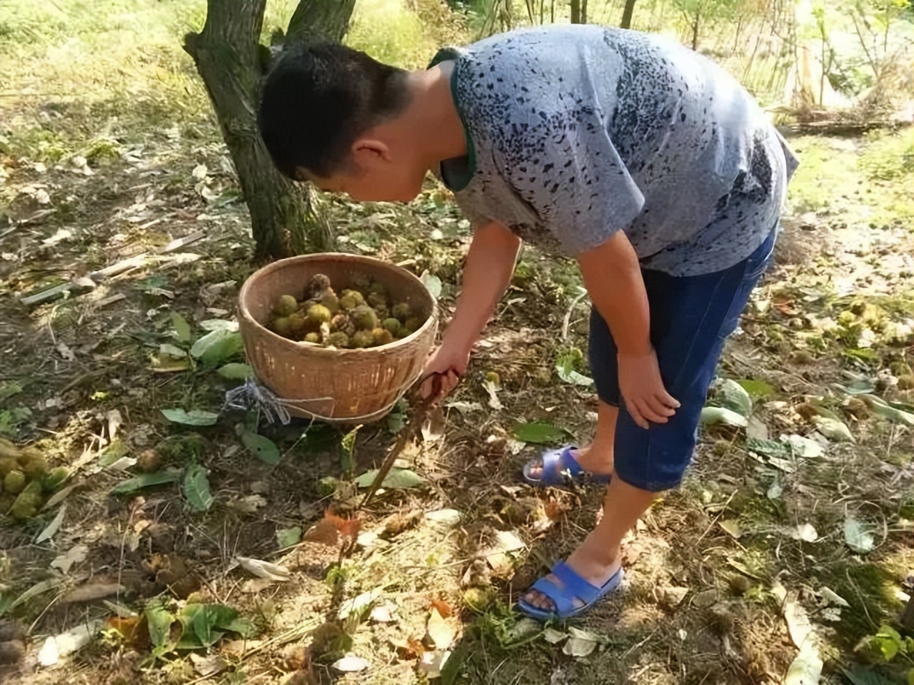 瀛╁瓙鍠婂眮灞佺柤鎬庝箞鍥炰簨,瀛╁瓙鎬诲枈灞佸眮鐤间竴鍧愪笅灏辩柤