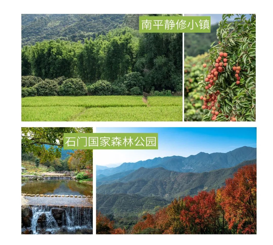 从化摘果攻略,从化摘水果攻略