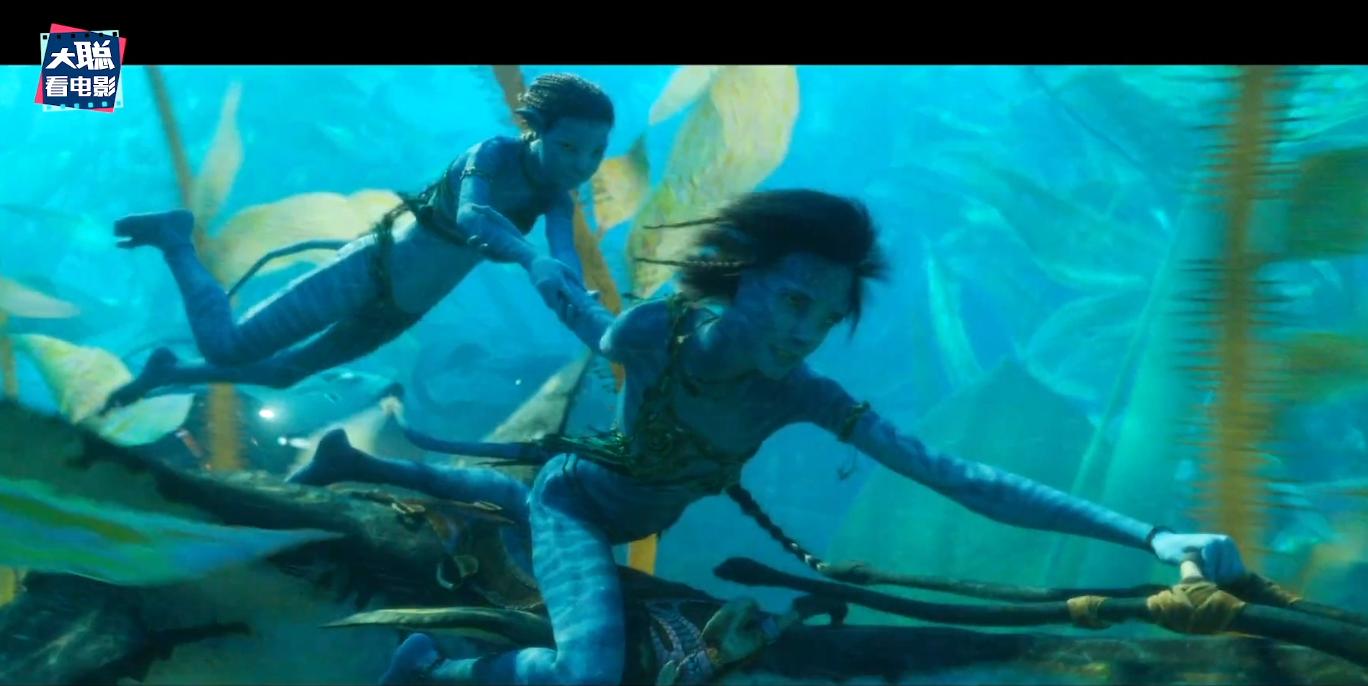 阿凡达2结局大儿子死了,阿凡达2战斗场面