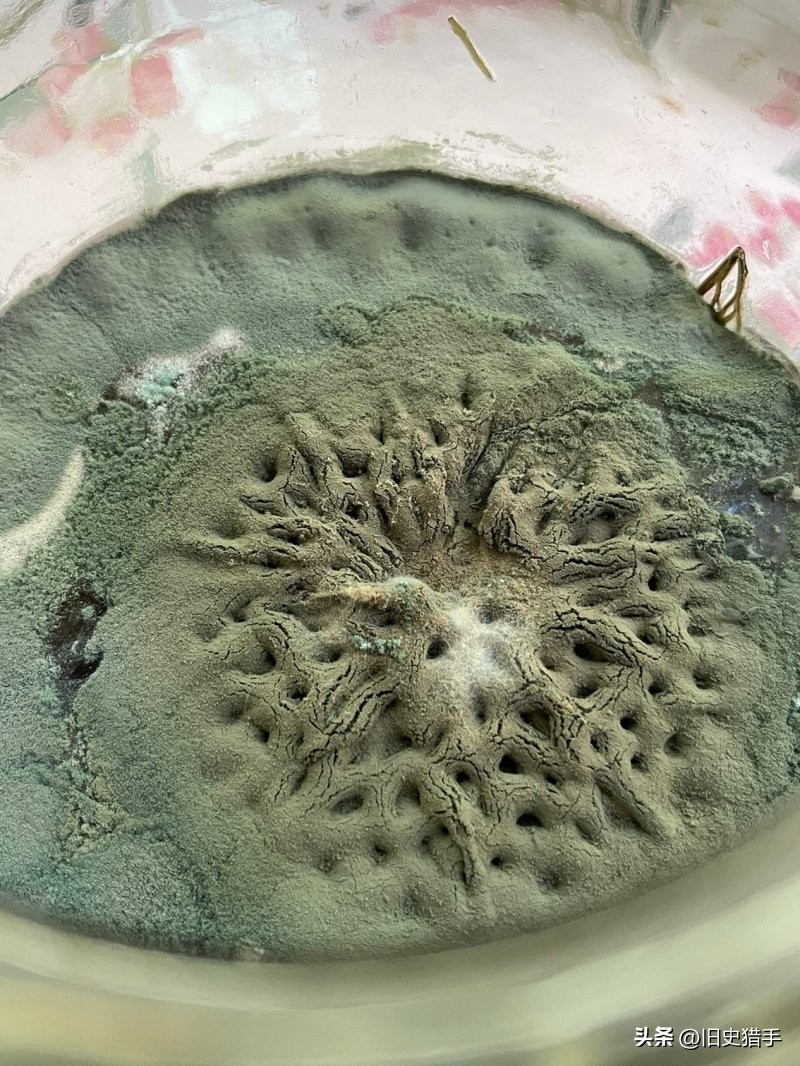 20张照片霉霉,25张令人震惊的图片