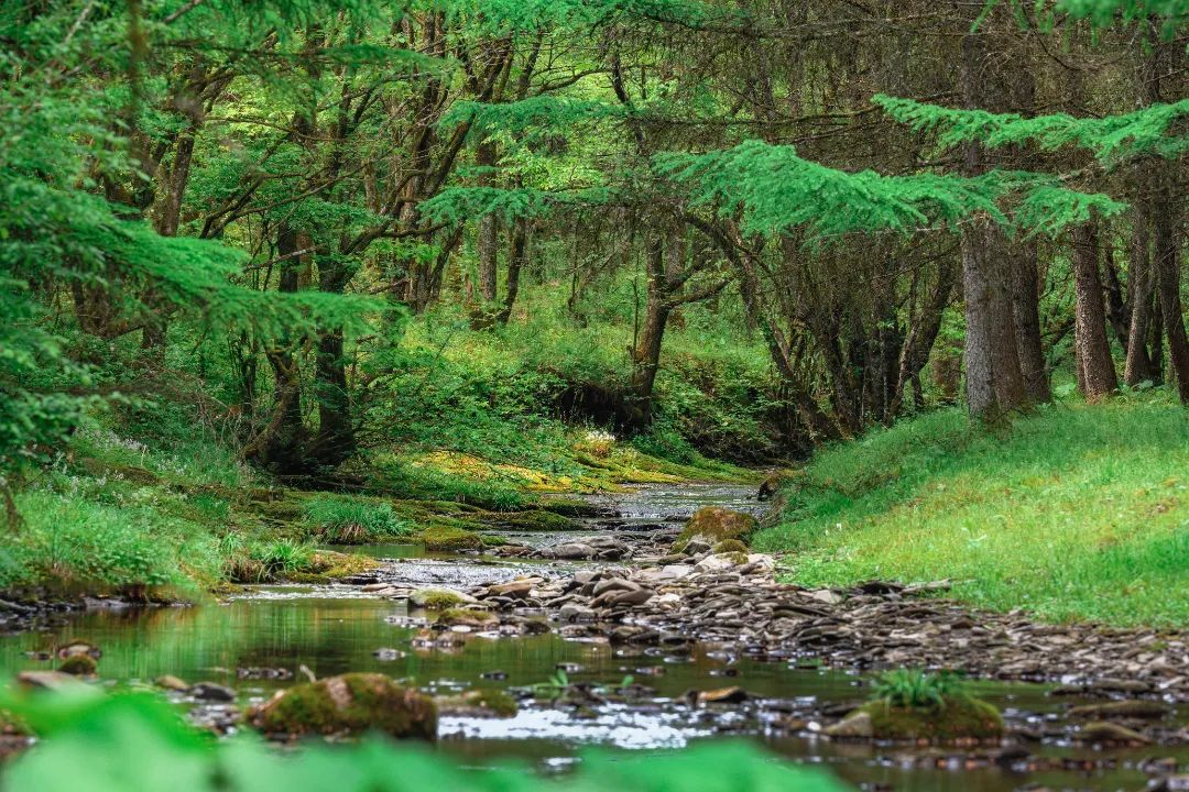 毕业旅行贵州景点攻略,成都毕业旅行的最佳去处最新报价