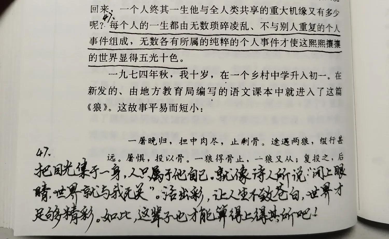 世界是一片丛林（读《重读古典》第六天）