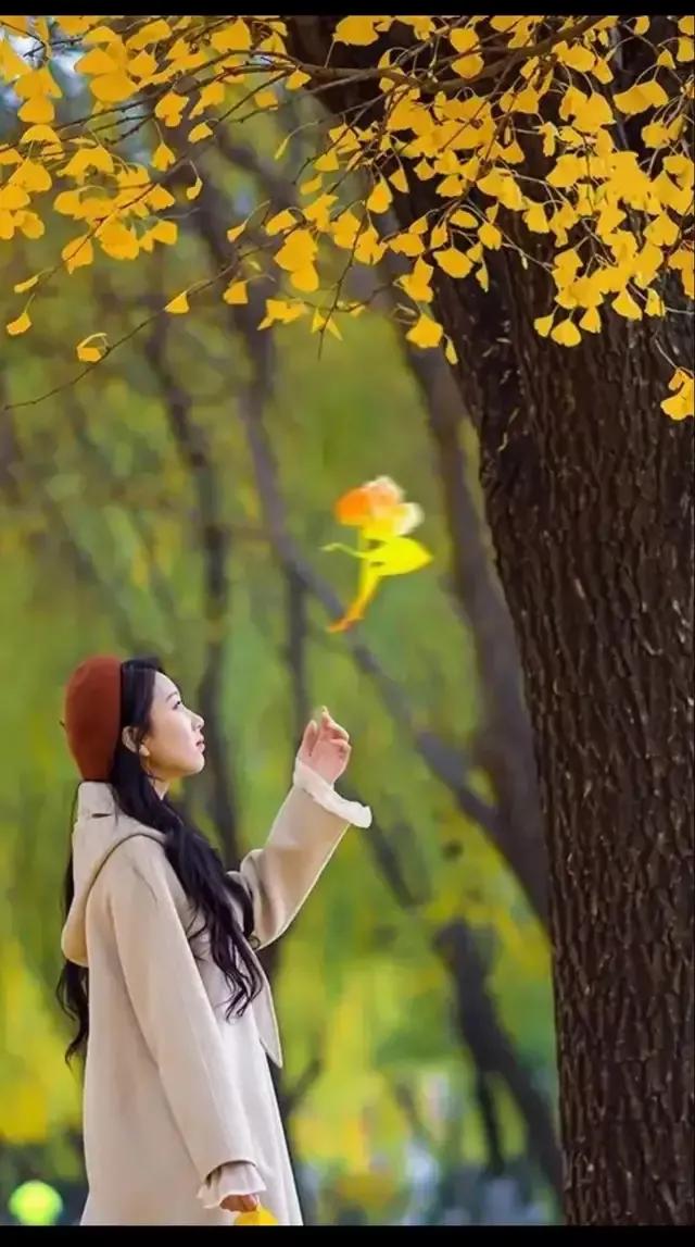 美丽的等待作文,美丽的等待作文800字记叙文