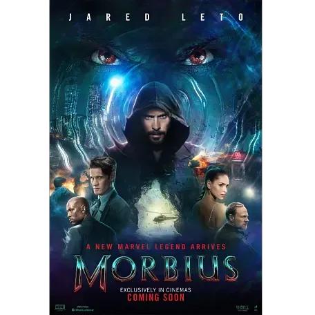 推荐六部小编最爱的影视作品,具体分析一部经典影视作品