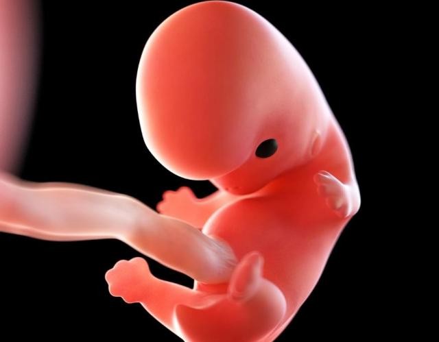 孕期准备宝宝用品清单,孕期注意事项和饮食禁忌清单