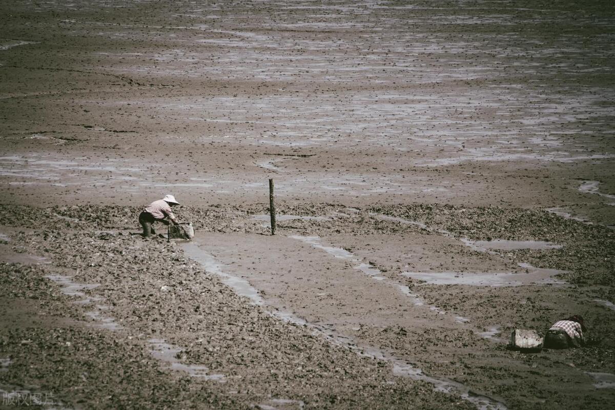 九成的国人都对她有误解！上天造神、下地造鞋，夹在福泉两州之间