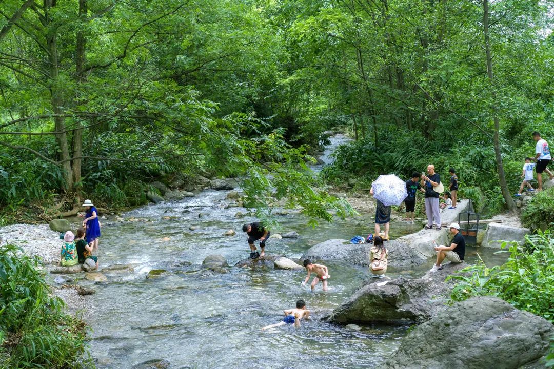 特色小镇的细节设计,生态旅游型特色小镇节能报告案例