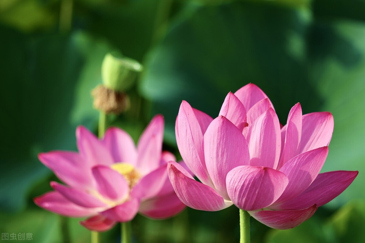 墨海扬波的诗词,墨海扬波