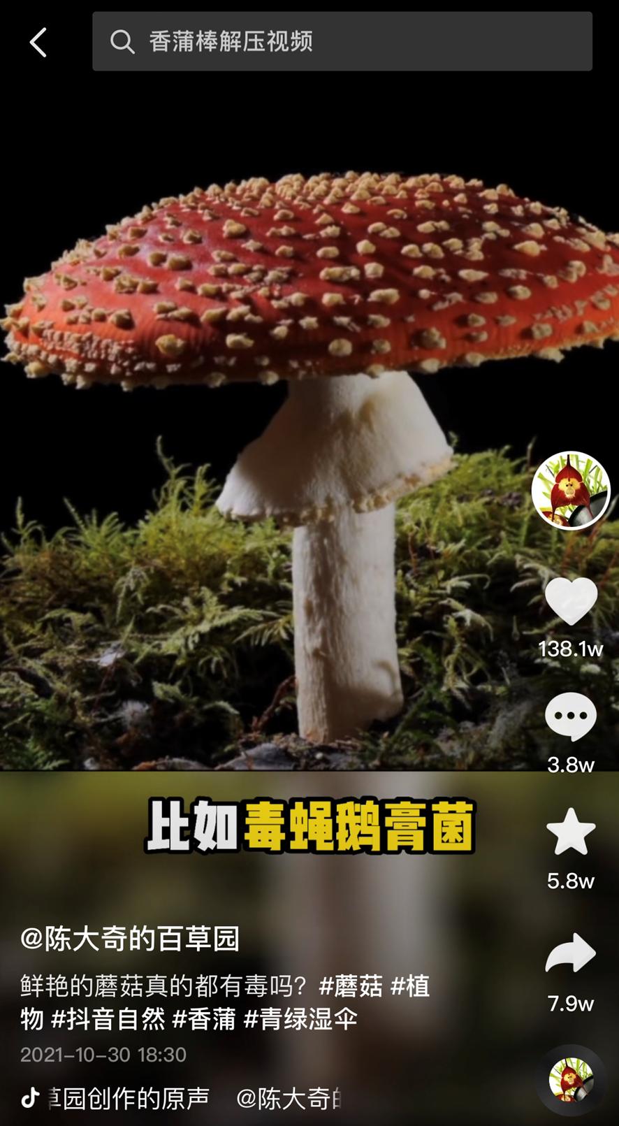 甘蔗变红是什么毒,甘蔗变红有毒图片