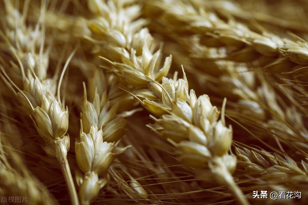 西平县107现在建的啥,1986河南驻马店西平