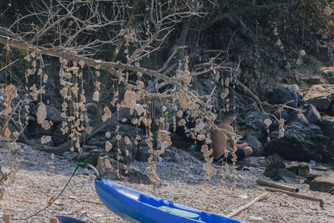 大数据推给想去泰国的朋友，万字长文玩转曼谷芭提雅