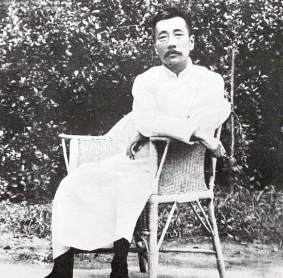 鲁迅的病能不能治,鲁迅的病句及解释